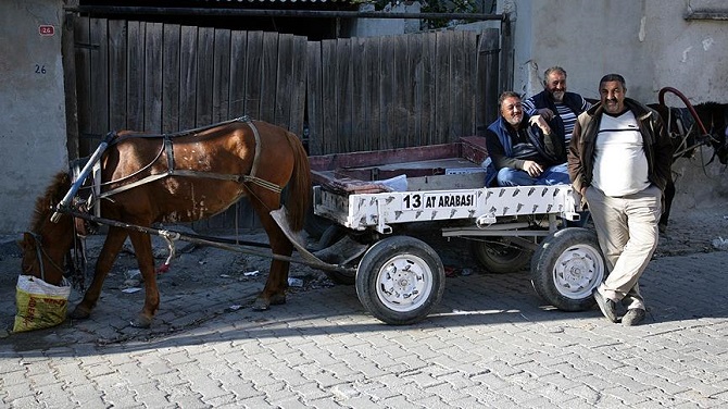 At arabalarına plaka uygulaması