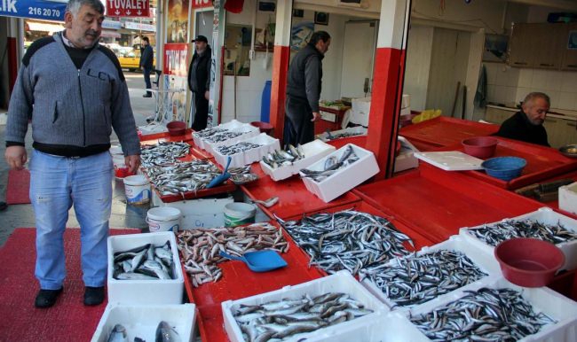 Tezgahlar yine balıkla doldu