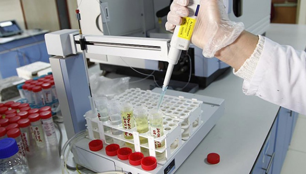 BM'nin yardımları analiz ediliyor