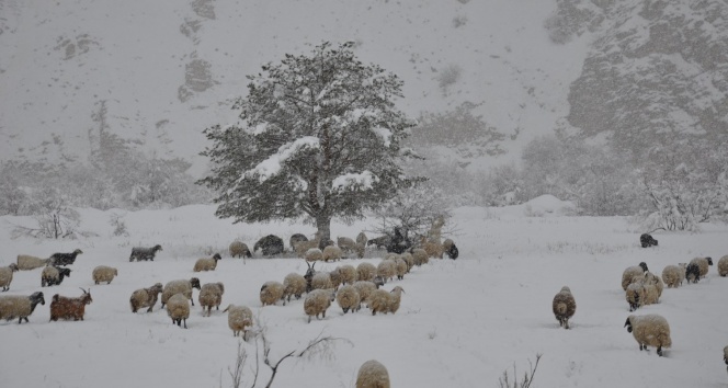 Çiftçiler zor günler yaşıyor