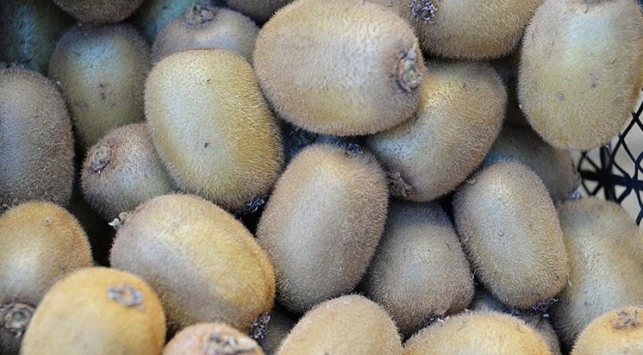 1 adet kivi 1 kilogram portakala denk