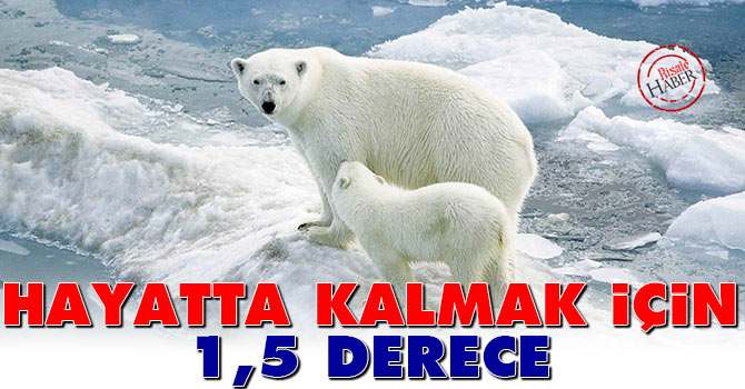Hayatta kalmak için 1.5 derece!