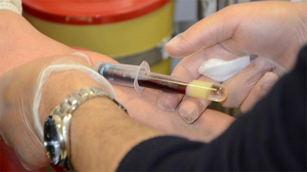 Ulusal kan alma kılavuzu hazırlandı