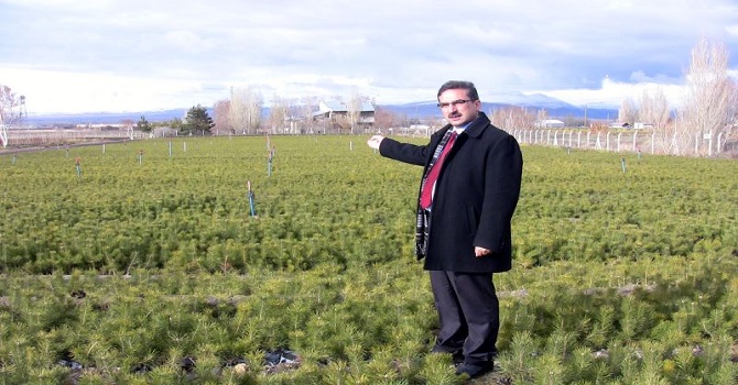 Doğu Anadolu'nun 6 ilinde 6 milyon fidan toprakla buluştu