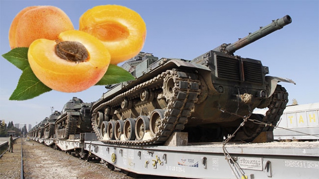 Tankların zırhı kayısı ile korunuyor