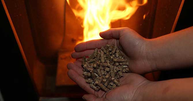 Çelik: Pelet yakıtının kullanımı doğalgaz tüketimini azaltacaktır