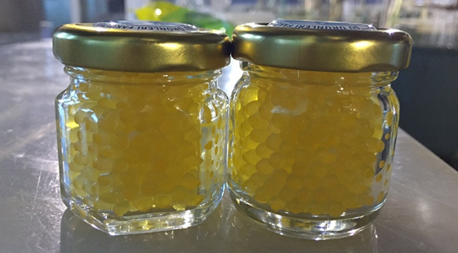 Erzurum'da Havyar üretildi!