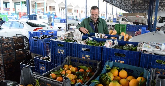 TZOB Başkanı: Acilen yeni pazarlar bulunmalı