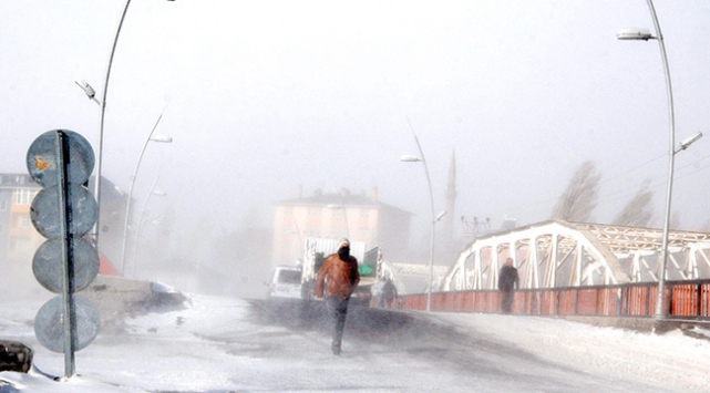 Şiddetli fırtınalar 15 bin ağaca zarar verdi