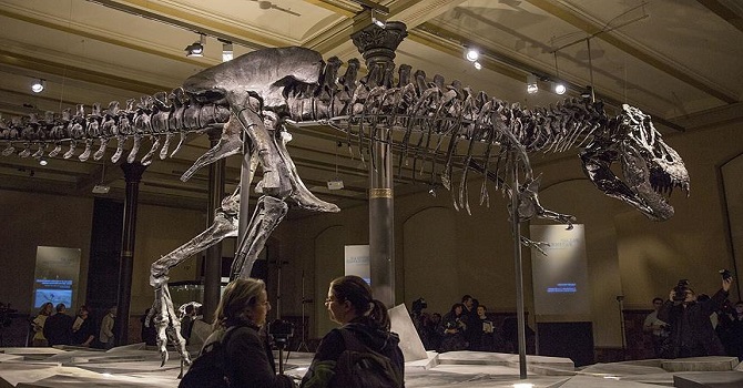 Dinazor Tristan Otto'nun iskeleti Berlin'de