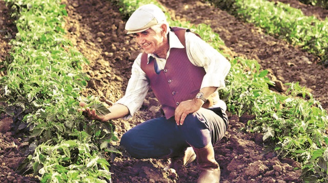 Çiftçilere 100 liralık aile işletmesi desteği