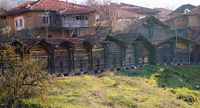 200 yıllık tahıl ambarları turizme açılacak