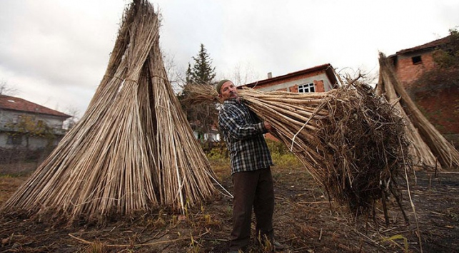 Kendir üreticileri geçmişi arıyor