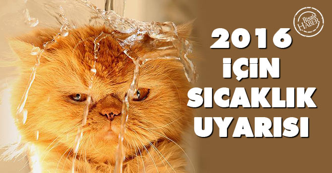 2016 için sıcaklık uyarısı