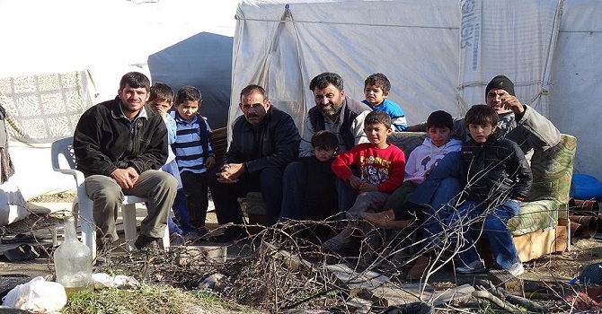 Umut yolcuları zeytin işçisi oldu