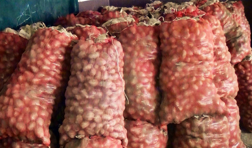 Elde kalan patates, üreticisini üzdü