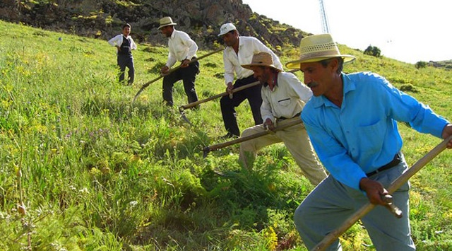 Çiftçilerin yüzü 2015'te güldü