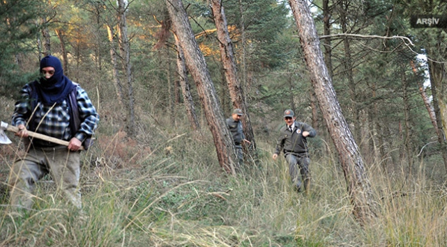 Yılbaşı için ağaç kesenleri ağır cezalar bekliyor
