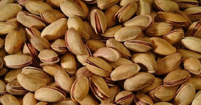 Fıstık fiyatları dip gördü