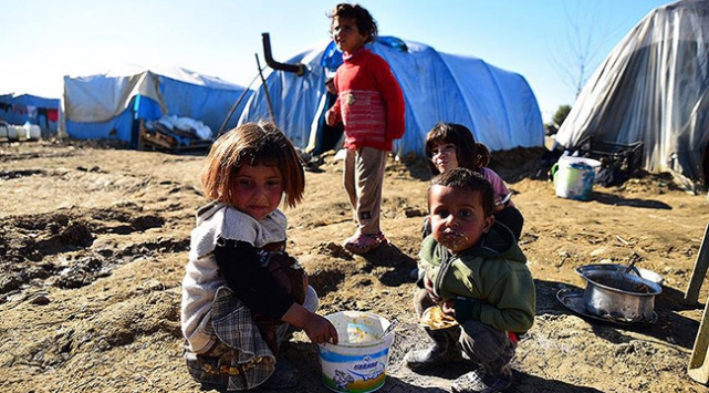 Okula gitmek yerine odun topluyorlar