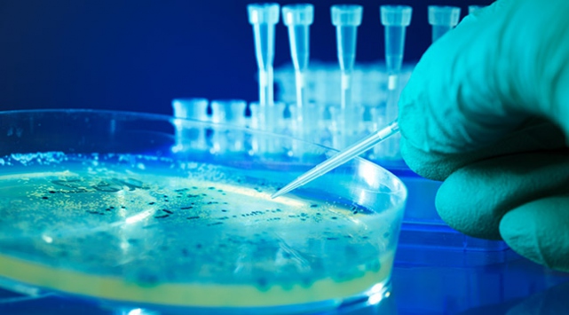 Gelecekte kök hücre kanseri ortadan kaldırabilecek