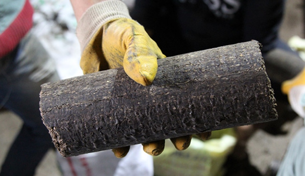 Pirina yağı ihracatında büyük artış