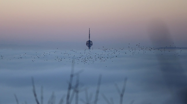 Saraybosna'da sis sorununa alternatif havalimanı önerisi