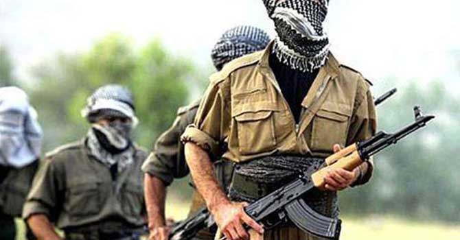 'Botan' kod adlı PKK'lı öldürüldü!