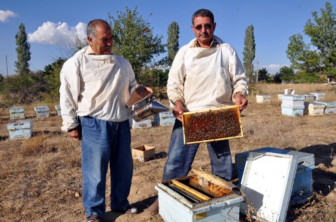 Bal üretiminde rekolte düştü