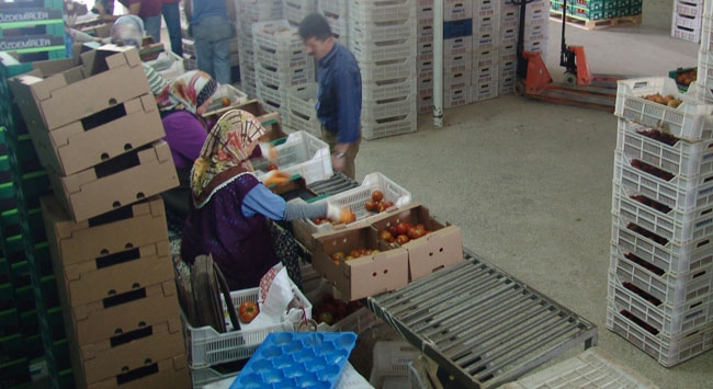 Sebze ve meyve fiyatları aralık ayında arttı