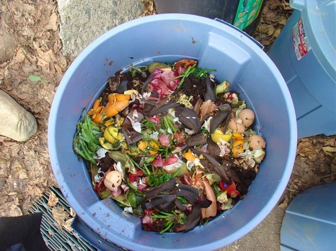 Seattle'da gıdaları çöpe atmak yasaklandı