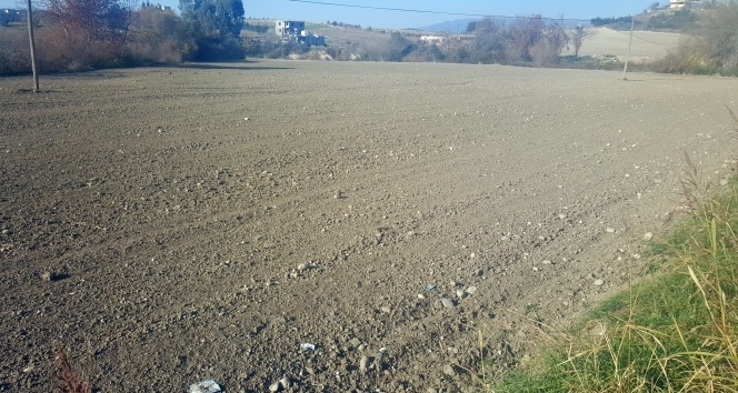 Osmaniye'de kuraklık çiftçiyi perişan etti