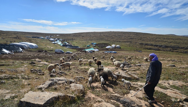Güneydoğu'da kış kurak geçiyor