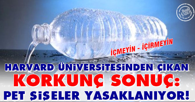 Harvard'dan çıkan korkunç sonuç: Pet Şişeler!