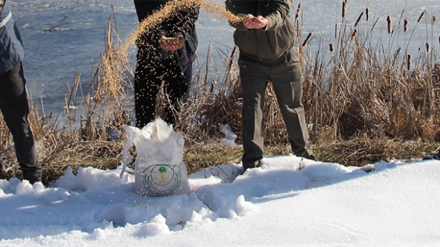 Konya'da yaban hayvanları için doğaya yem bırakıldı