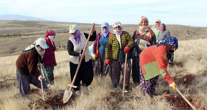 Evde çocuk dağda fidan yetiştiriyorlar