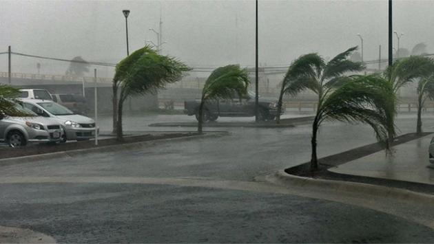 ABD'de kötü hava şartları 50 kişinin ölümüne neden oldu