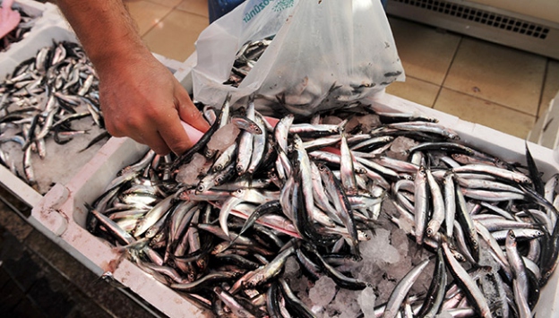 Hamsinin kilogram fiyatı yükseldi