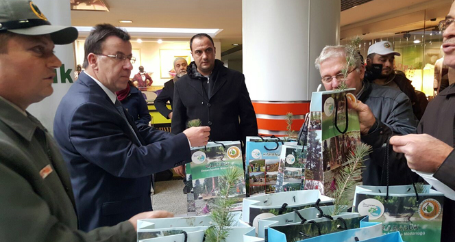 Yeni yıla ağaç keserek değil fidan dikerek girecekler