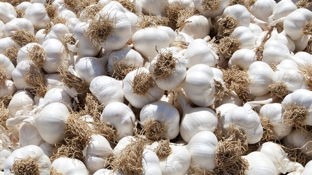 Sarımsağa yüzde 50 zam