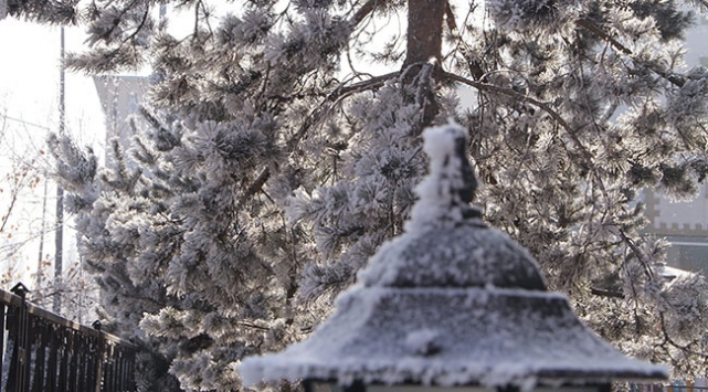 Doğu'da gece en düşük sıcaklık Ardahan'da ölçüldü