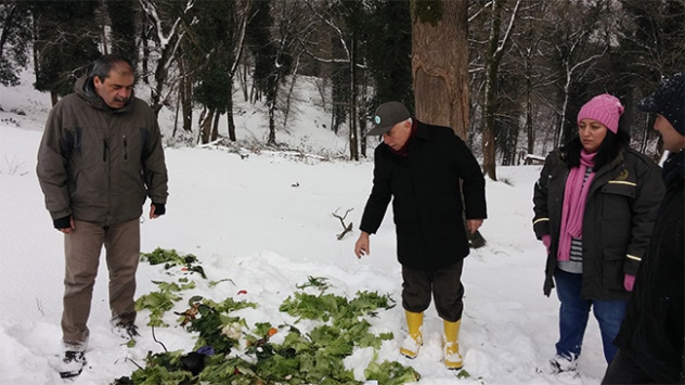 İstanbul'da yaban hayvanları için doğaya yem bırakıldı