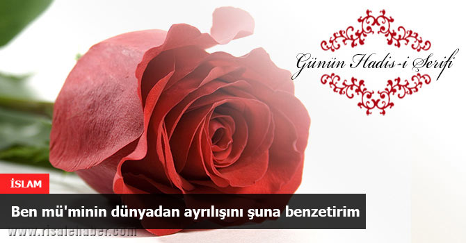 Ben mü'minin dünyadan ayrılışını şuna benzetirim