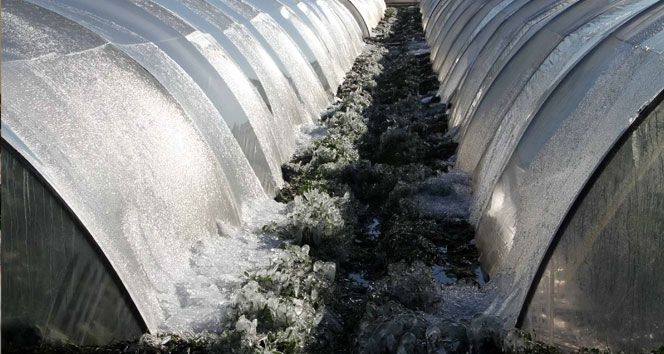 Çiftçiye bir darbe de soğuk havadan