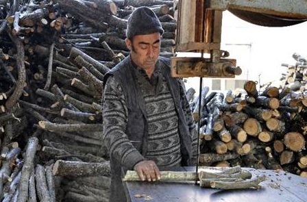 Meşe odunu hava ve cep dostu