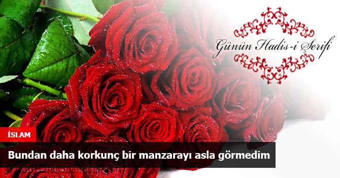 Bundan daha korkunç bir manzarayı asla görmedim