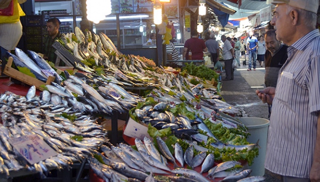 Kefal bereketi balıkçıları ve vatandaşları sevindirdi