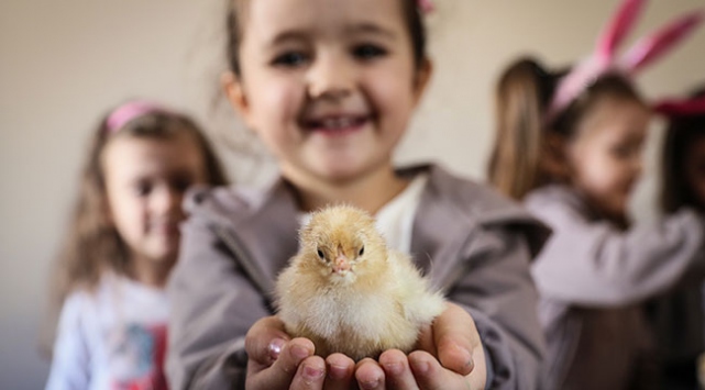 Anaokula kuluçka makinesi kuruldu