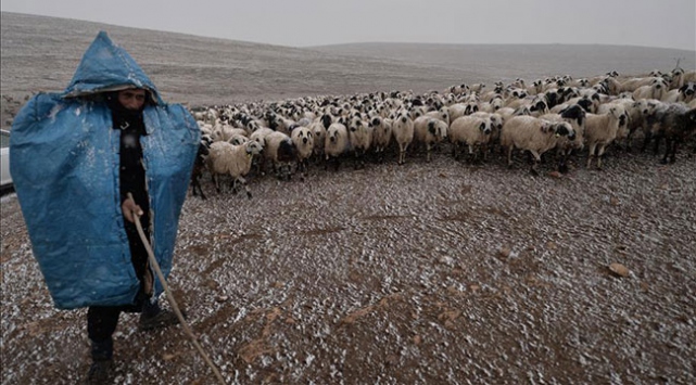 Göçerler 'yaz' endişesi yaşıyor
