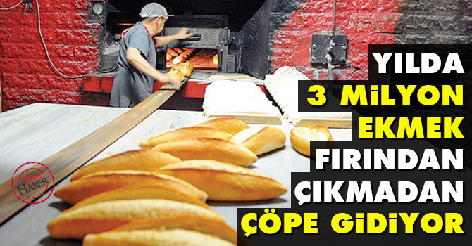 Yılda 5 milyon ekmek fırından çıkmadan çöpe gidiyor